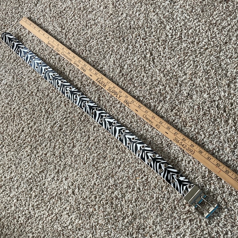 Zebra belt